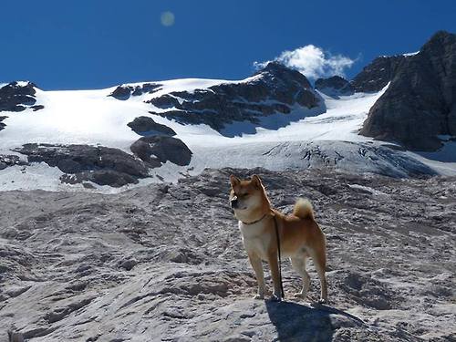 罗马不是一日建成的，但决胜只需一瞬，楚阿梅尼的孤峰一击