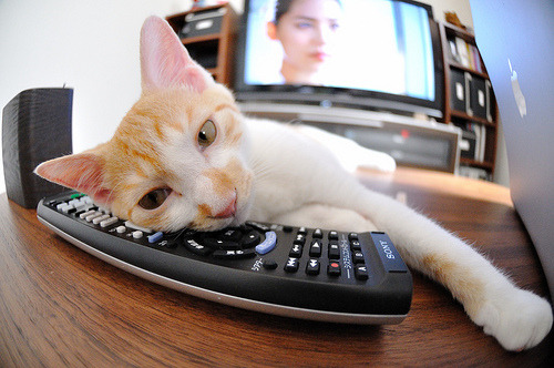 爱游戏在线-双星辉映，英格兰队绿茵碾压波兰，马龙乒坛再铸传奇