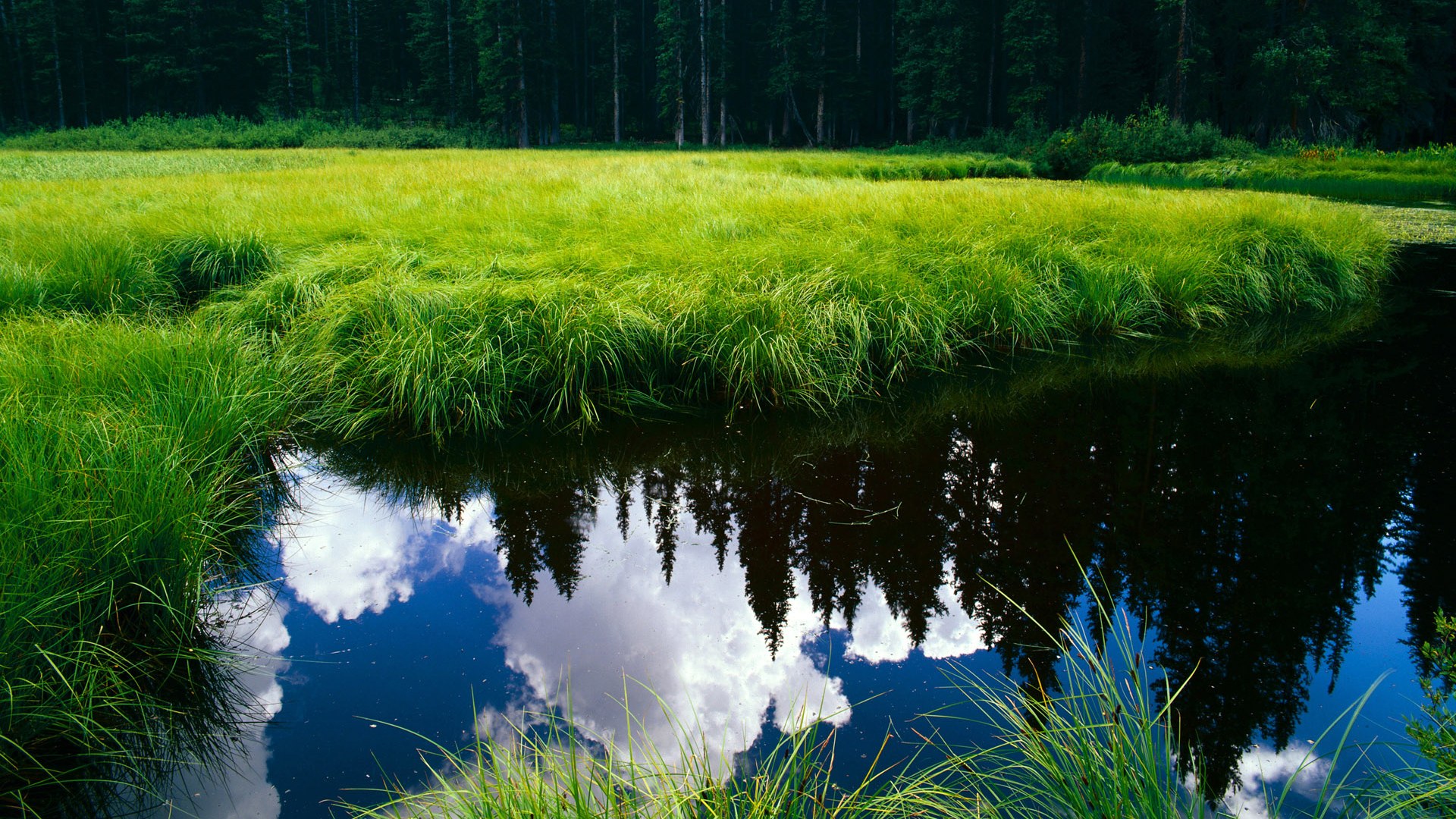 爱游戏在线-场外中卫，线上导演，巴斯托尼如何用一场无关比赛左右英超冠军