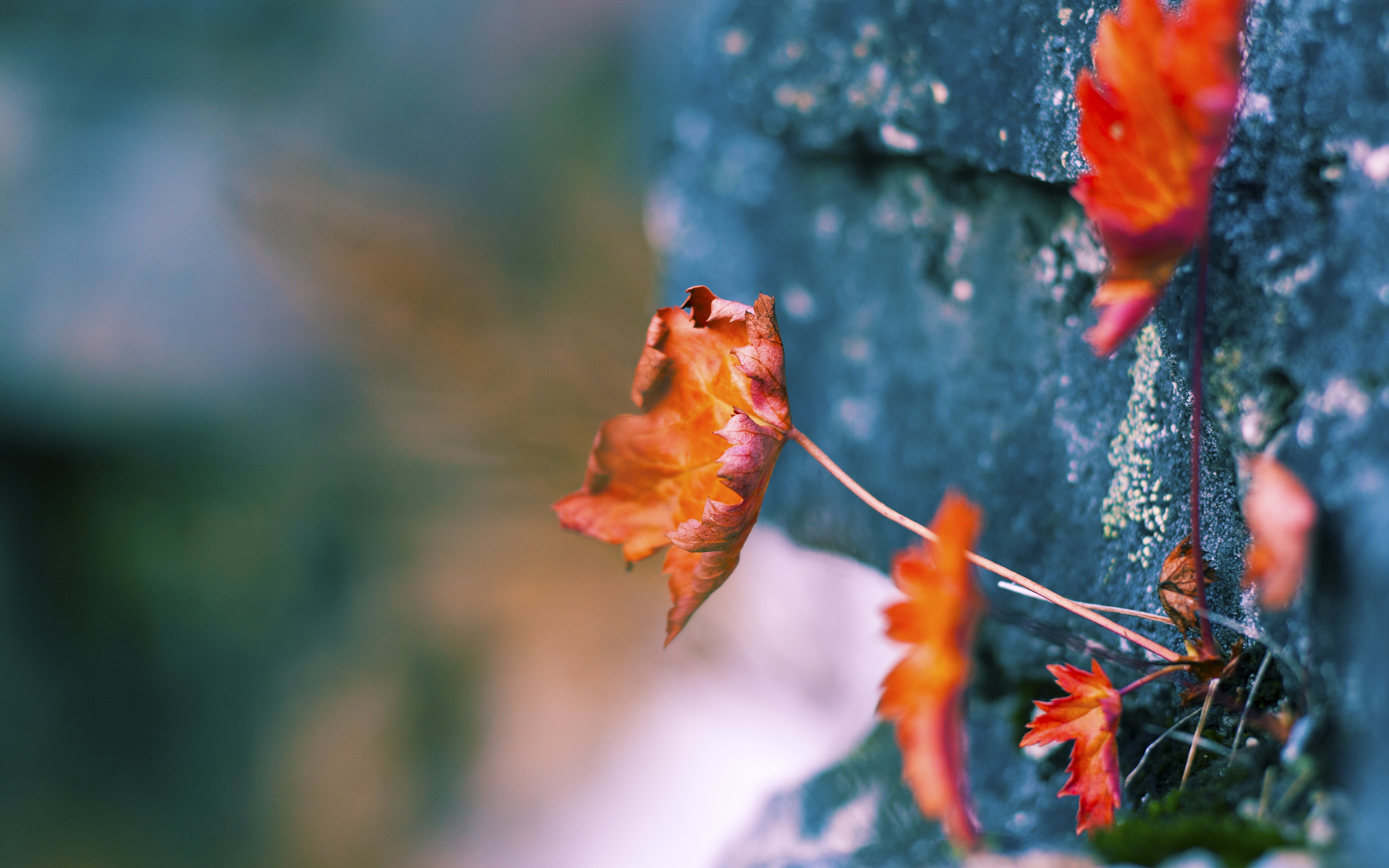 那一夜，他踏着奥林匹亚的星光而来—记奥运周期关键战，基米希进攻端的不朽演绎