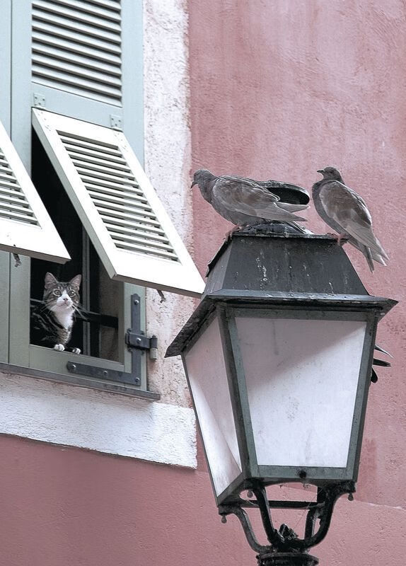 欧冠半决赛之夜,阿尔瓦雷斯转动命运魔方,镌刻独属于他的神格