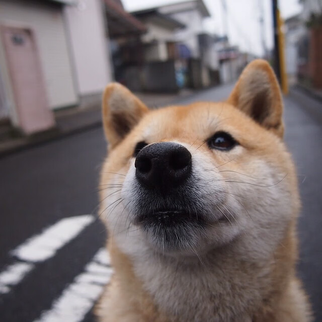 爱游戏官方-厄瓜多尔逆袭葡萄牙，年度焦点之战的巅峰对决