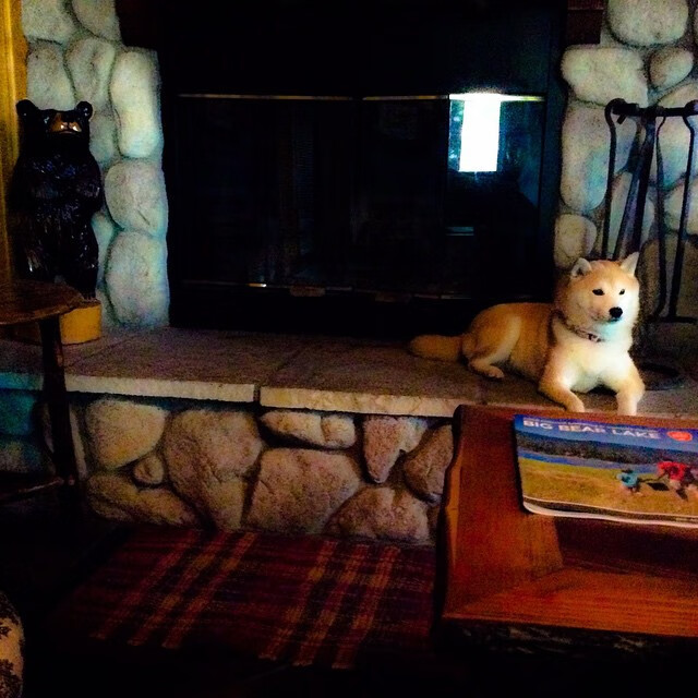 节奏的魔术师，塔图姆奥运关键战接管比赛与步行者的掌控哲学