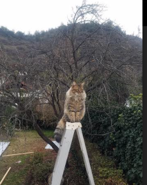 爱游戏娱乐-北欧冰封绿岛，阿圭罗一箭定乾坤，芬兰战术压制爱尔兰