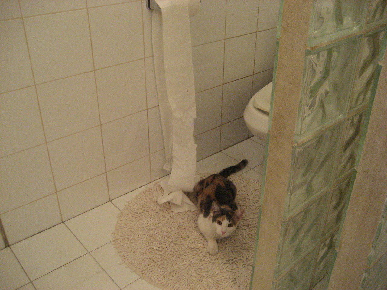 现在的河流与未来的海，步行者连续得分压制湖人，与英格拉姆在2026世界杯的遥远回响