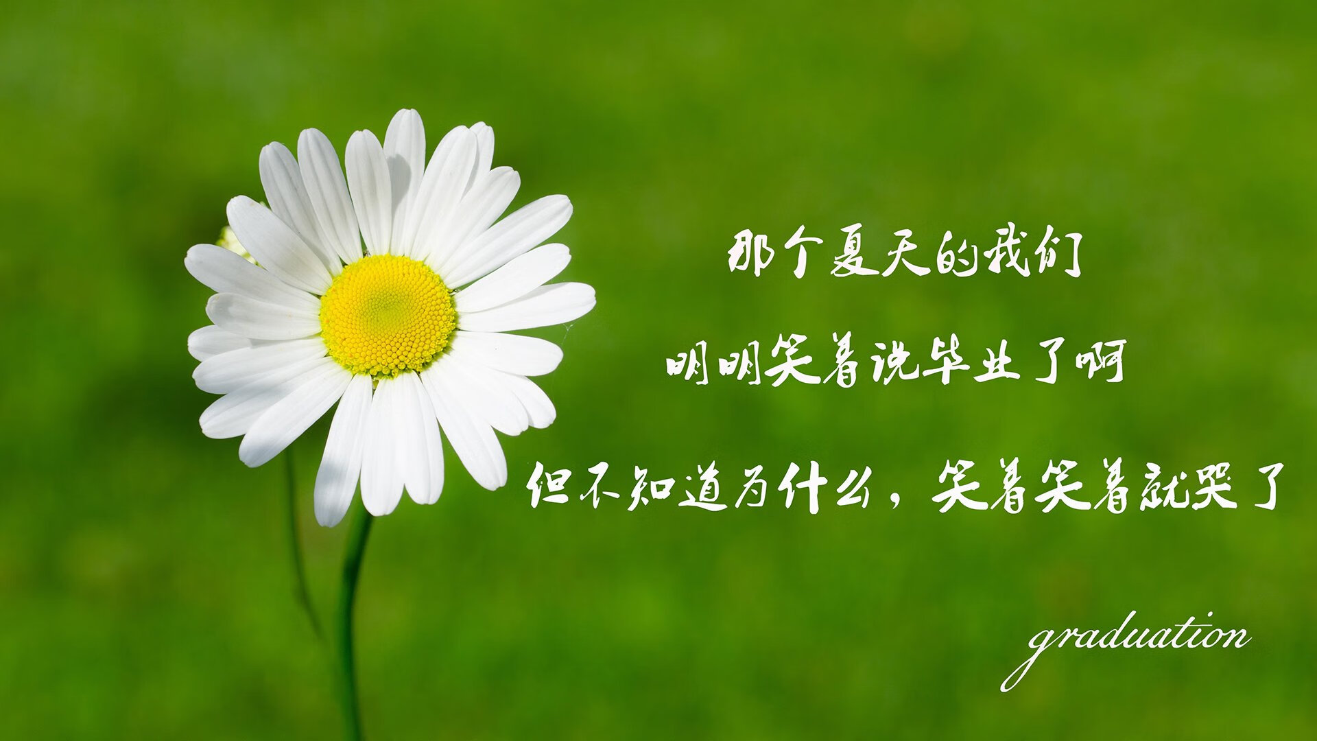 爱游戏-绝境中的红蓝魂，2026世界杯D组，葡萄牙绝杀荷兰，托纳利如何以一己之力改写命运剧本